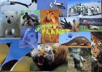 Реклама канала Animal planet